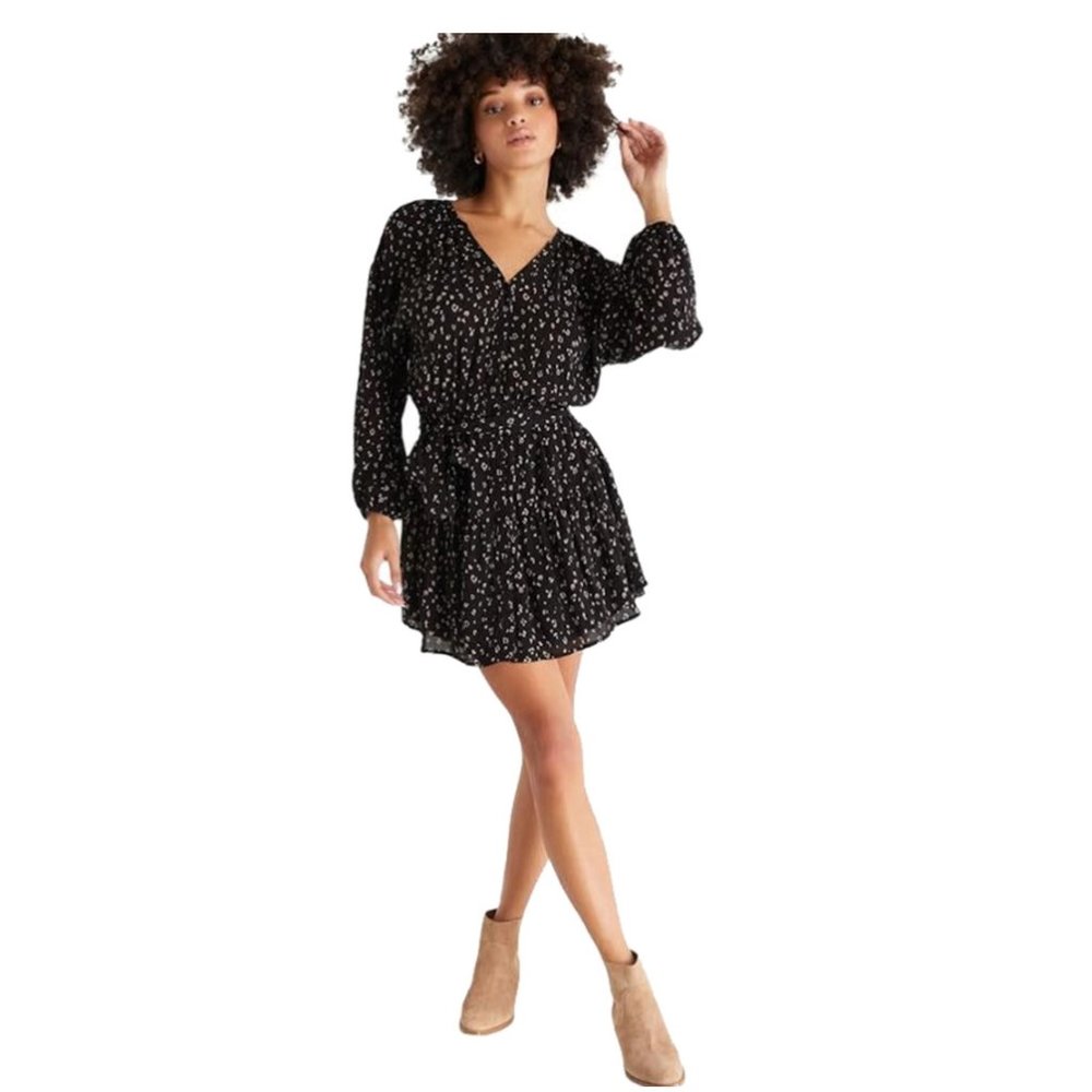 Z Supply Easy to Love Leopord Print Mini dress